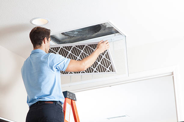 Best Air Quality Test  in Xenia, OH